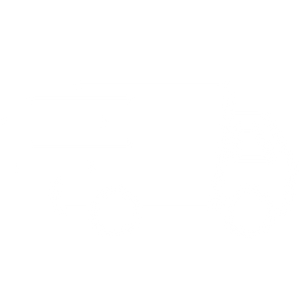 Fast Shipping